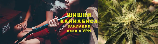 мдпв Верхний Тагил