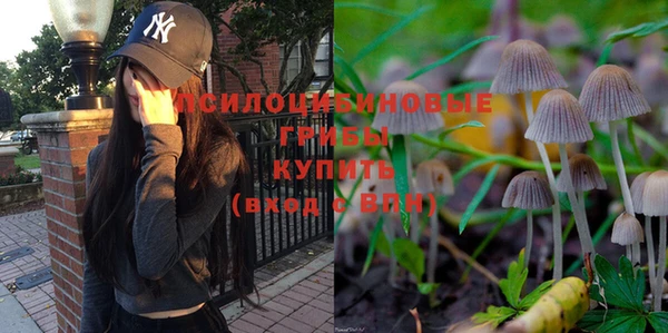 мдпв Верхний Тагил