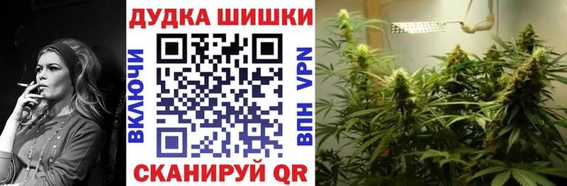 где купить наркоту  Гвардейск  Бошки Шишки гибрид 